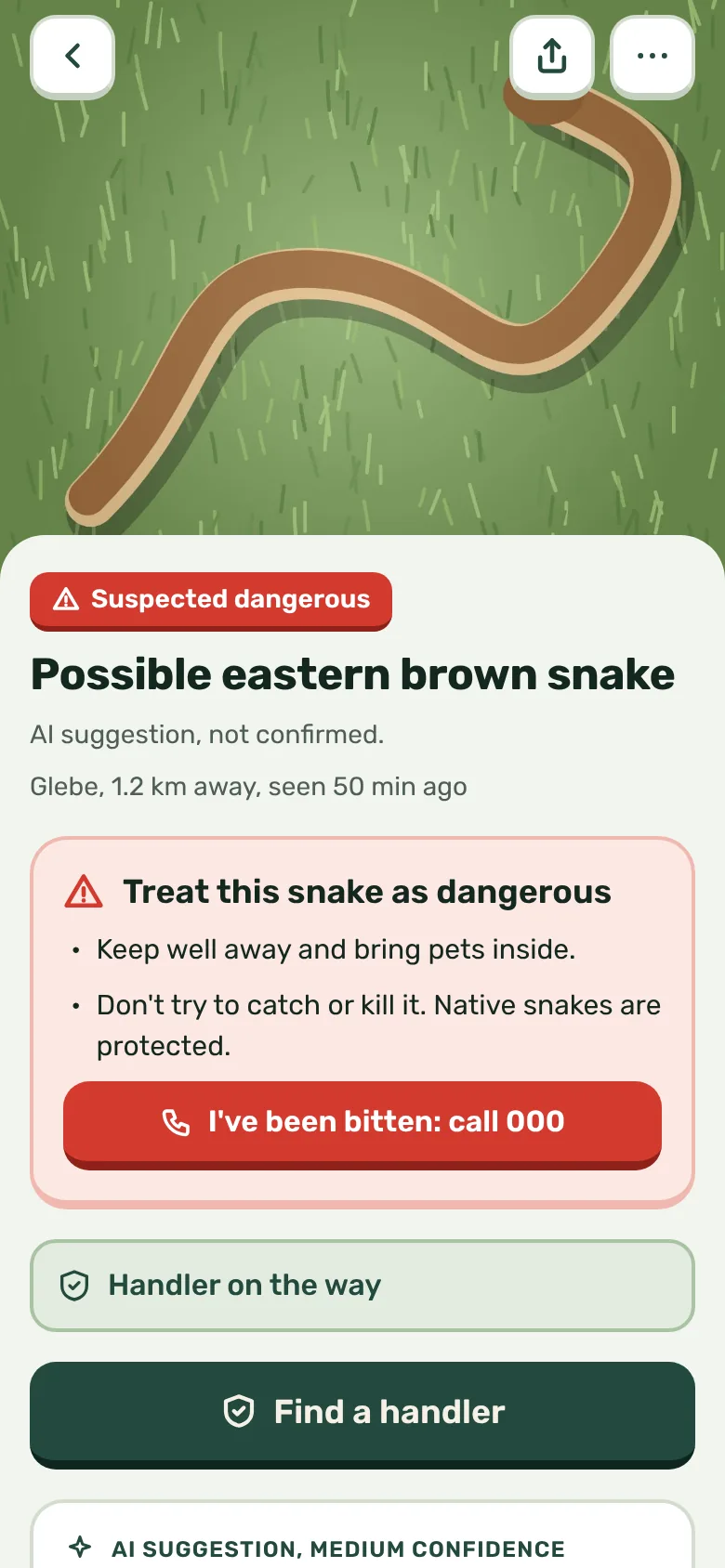 A Coil sighting page: Possible eastern brown snake, marked Suspected dangerous as an AI suggestion that is not confirmed, with safety advice, an I've been bitten: call 000 button and a Find a handler button.